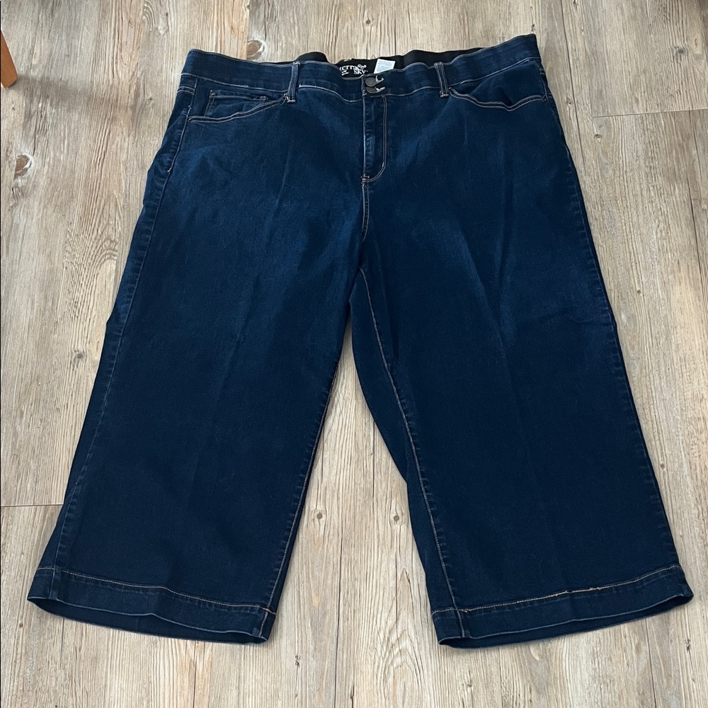 Terra & Sky Deep Indigo High Rise Ankle Jeans Sz 24W. Bundle & Save! - Picture 4 of 4